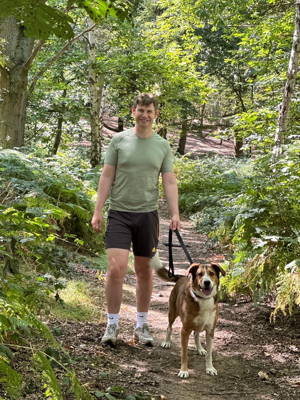 Dog exploring the forest